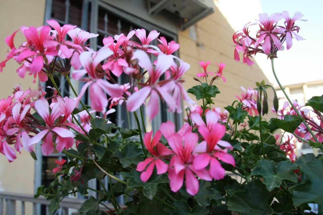 Bed and Breakfast Pisa Town Exterior foto